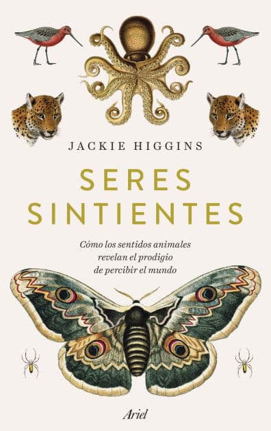 Seres sintientes: Cómo los sentidos animales revelan el prodigio de sentir el mundo by Jackie Higgins