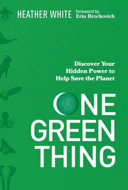 One Green Thing: Discover Your Hidden Power to Help Save the Planet by Heather White