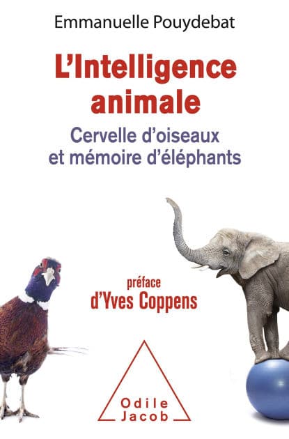 L' Intelligence animale: Cervelle d'oiseaux et mémoire d'éléphants by Emmanuelle Pouydebat