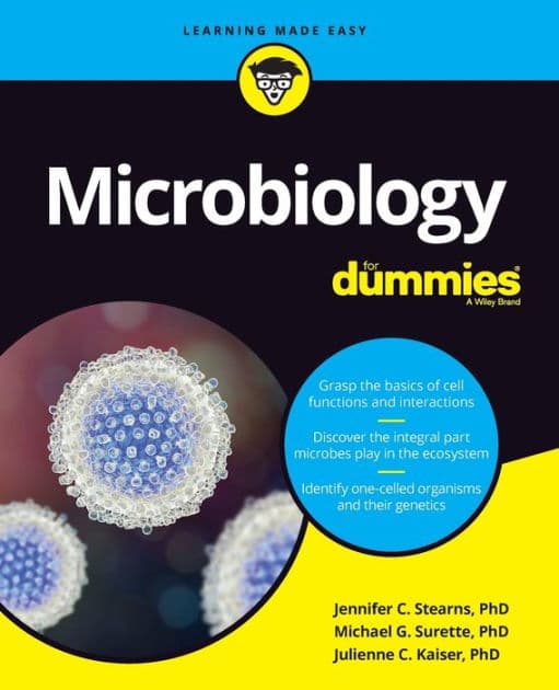 Microbiology For Dummies by Jennifer Stearns