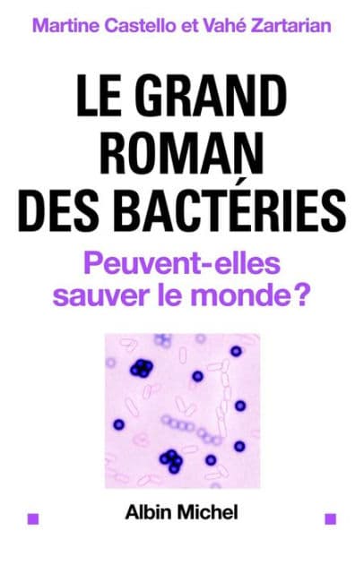 Le Grand roman des bactéries: Peuvent-elles sauver le monde ? by Martine Castello