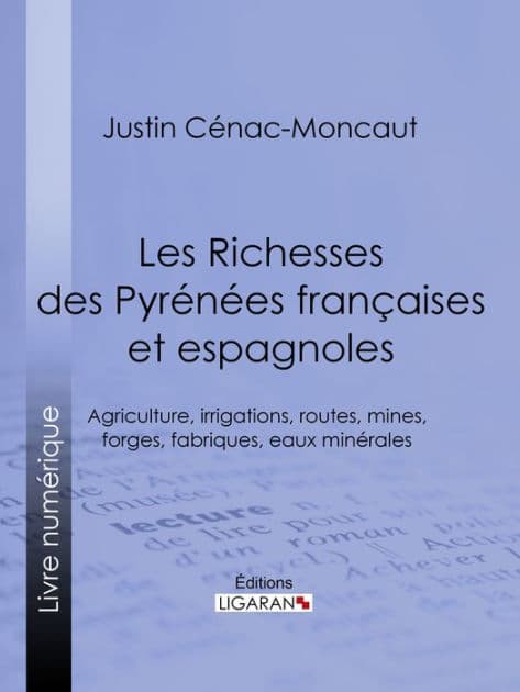 Les Richesses des Pyrénées françaises et espagnoles: Ce qu'elles furent, ce qu'elles sont, ce qu'elles peuvent être - Agriculture, irrigations, routes, mines, forges, fabriques, eaux minérales by Justin Cénac-Moncaut