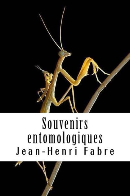 Souvenirs entomologiques: Livre IX by Jean-Henri Fabre