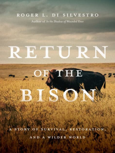 Return of the Bison: A Story of Survival, Restoration, and a Wilder World by Roger Di Silvestro