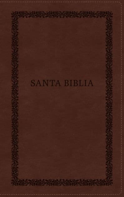 RVR60, Santa Biblia, Tierra Santa, Ultrafina, Letra grande, Leathersoft, Café, con Cierre, Palabras de Jesús en Rojo, Comfort Print by Vida