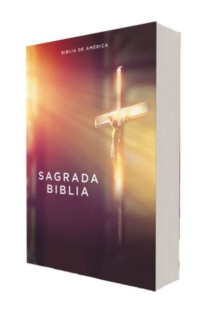 Biblia Católica, Edición Económica, Tapa Rústica, Comfort Print by Editorial Católica