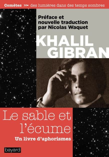 Le sable et l'écume - un livre d'aphorismes by Kahlil Gibran