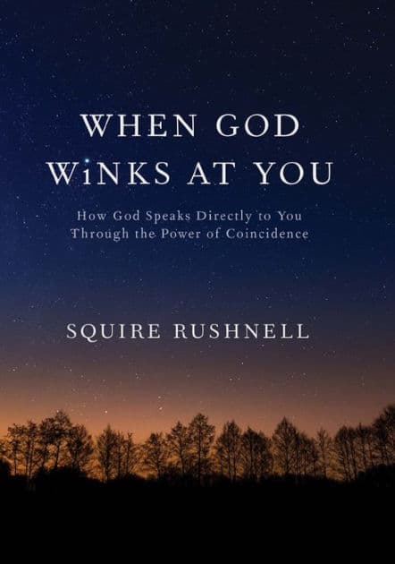 When God Winks at You by Rushnell