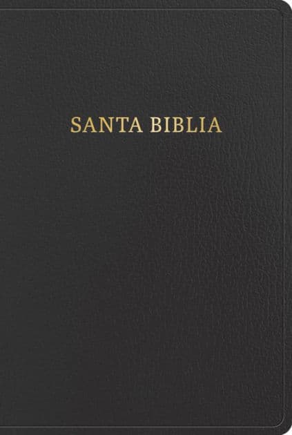 RVR 1960 Biblia letra gigante, negro imitación piel con índice (Edición 2023): Santa Biblia by B&amp;H Español Editorial Staff
