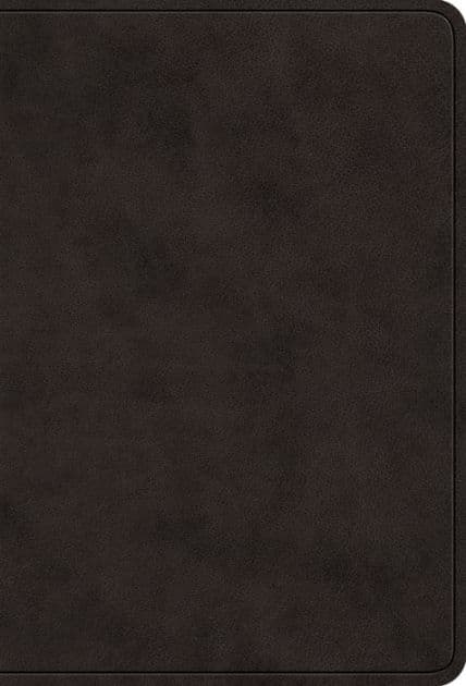 ESV Value Large Print Compact Bible (TruTone, Black) by Crossway