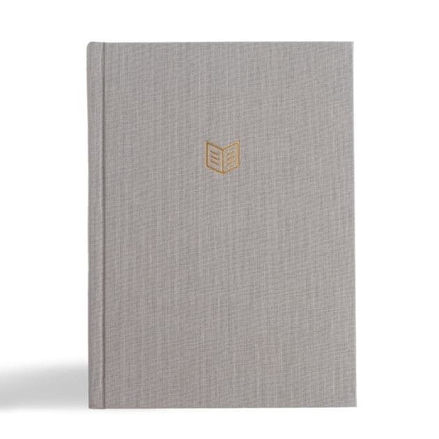 CSB She Reads Truth Bible, Gray Linen Cloth Over Board by Raechel Myers