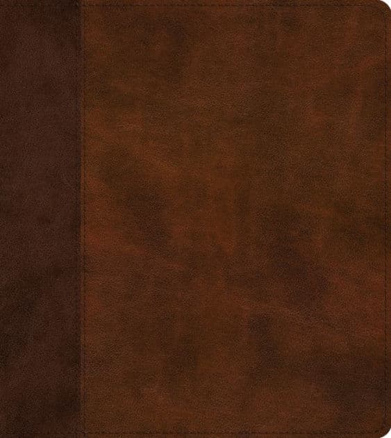 ESV Journaling Study Bible (TruTone, Brown/Chestnut, Timeless Design) by Wayne Grudem