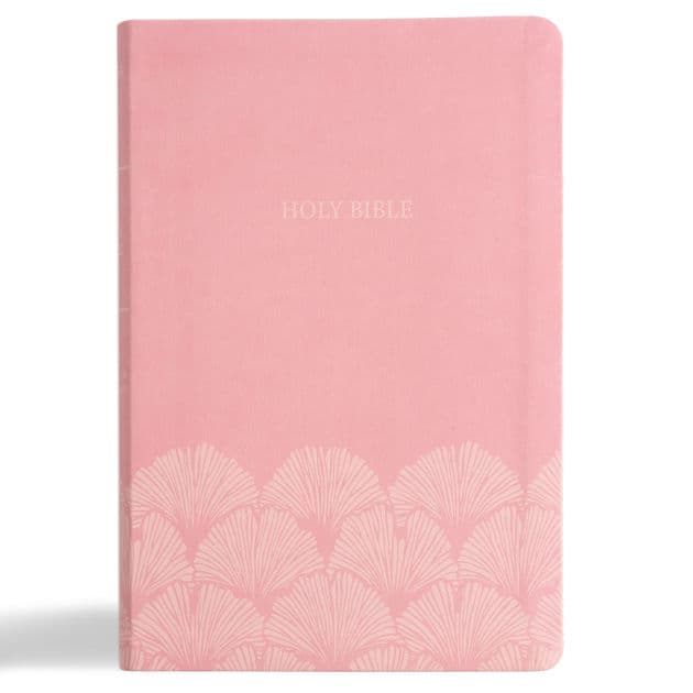 NASB Large Print Thinline Bible, Value Edition, Soft Pink LeatherTouch by Holman Bible Publishers