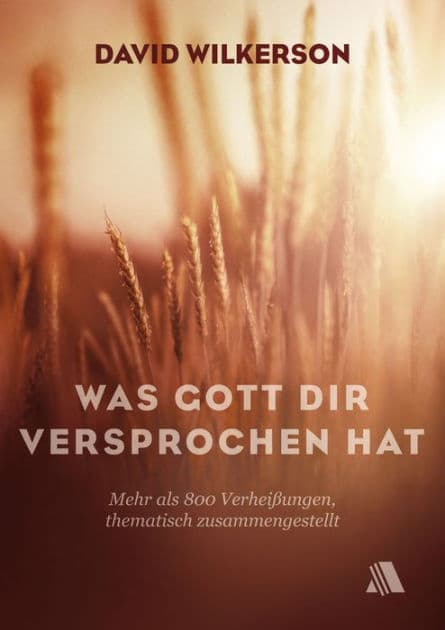 Was Gott dir versprochen hat: Mehr als 800 Verheißungen, thematisch zusammengestellt by David Wilkerson