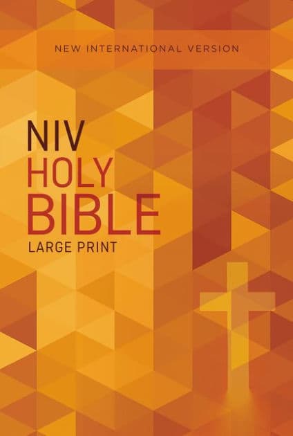 NIV, Outreach Bible, Large Print, Paperback by Zondervan