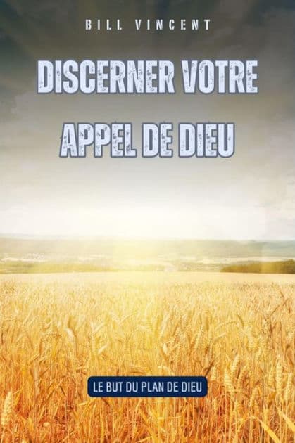 Discerner votre appel de Dieu: Le but du plan de Dieu by Bill Vincent