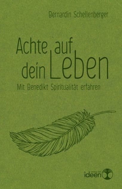 Achte auf dein Leben: Mit Benedikt Spiritualität erfahren by Bernardin Schellenberger