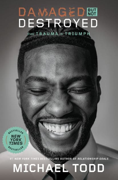Damaged but Not Destroyed: From Trauma to Triumph by Michael Todd