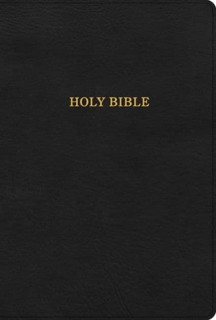 KJV Large Print Thinline Bible, Black LeatherTouch by Holman Bible Publishers