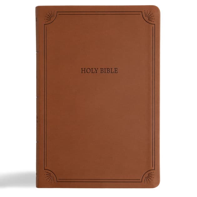 NASB Large Print Thinline Bible, Value Edition, Brown LeatherTouch by Holman Bible Publishers