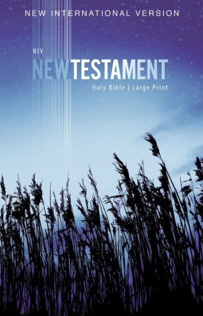 NIV, Outreach New Testament, Large Print, Paperback by Zondervan