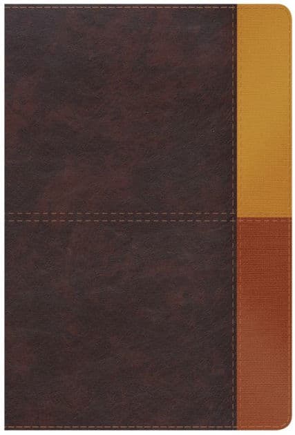 RVR 1960 Biblia de Estudio Arcoíris, cocoa/ terracota símil piel by B&amp;H Español Editorial Staff