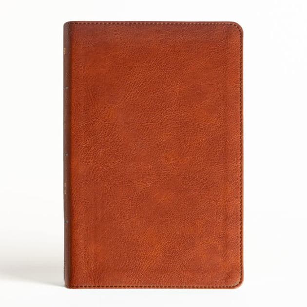 NASB Large Print Personal Size Reference Bible, Burnt Sienna LeatherTouch by Holman Bible Publishers