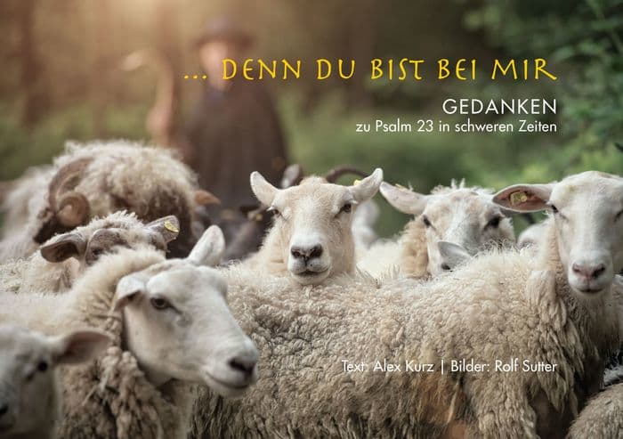 ... denn du bist bei mir: Gedanken zu Psalm 23 in schweren Zeiten by Alex Kurz