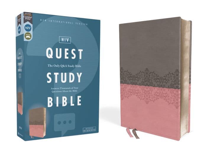 NIV, Quest Study Bible, Leathersoft, Gray/Pink, Comfort Print: The Only Q and A Study Bible by Zondervan
