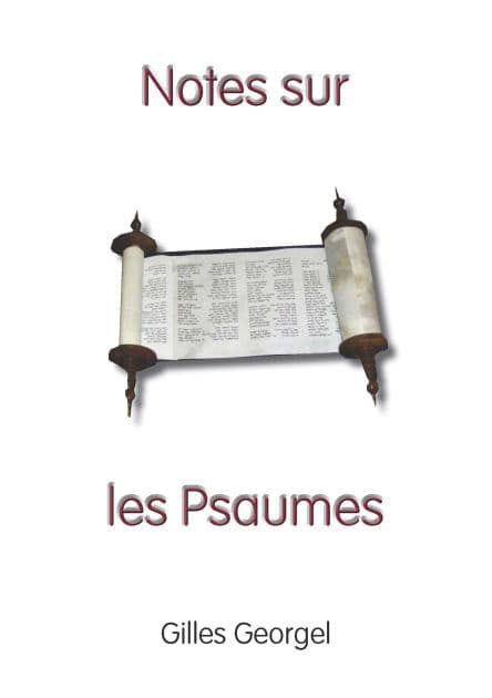 Notes sur les Psaumes by Gilles Georgel