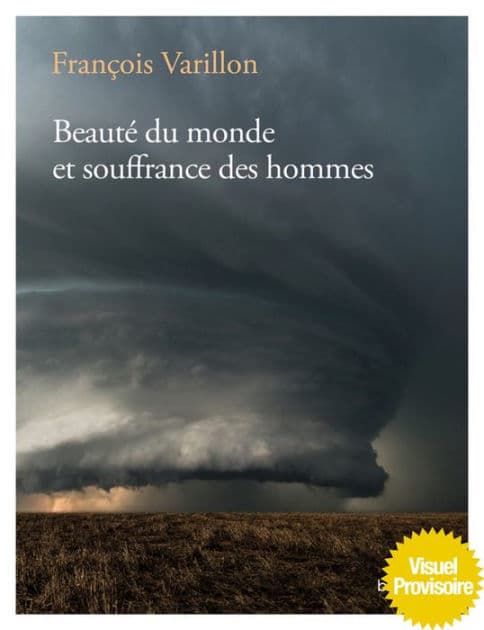Beauté du monde et souffrance des hommes by François Varillon