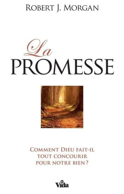 La promesse: Comment Dieu fait-il tout concourir pour notre bien? by Robert J. Morgan