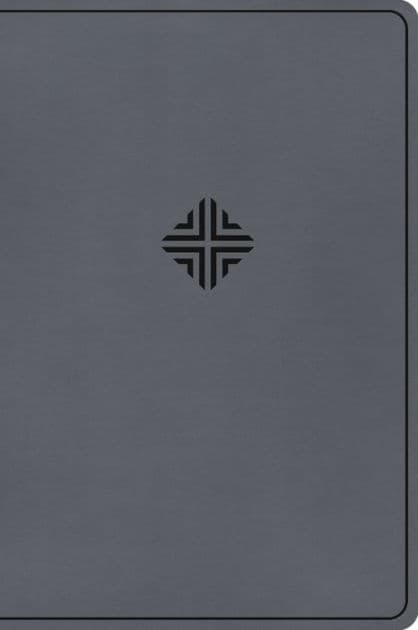 CSB Large Print Thinline Bible, Value Edition, Charcoal LeatherTouch by CSB Bibles by Holman