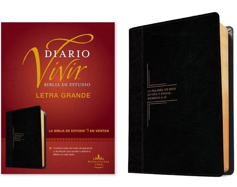 Biblia de estudio del diario vivir RVR60, letra grande (SentiPiel, Negro/Ónice, Letra Roja) by Tyndale