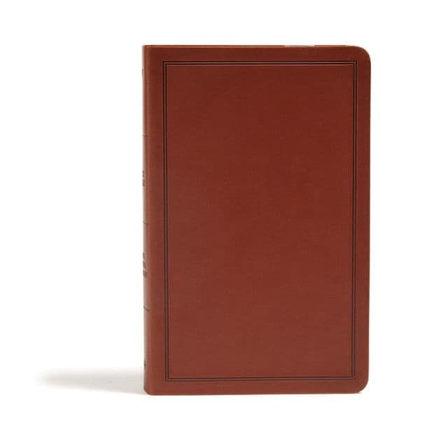 KJV Deluxe Gift Bible, Brown LeatherTouch by Holman Bible Publishers
