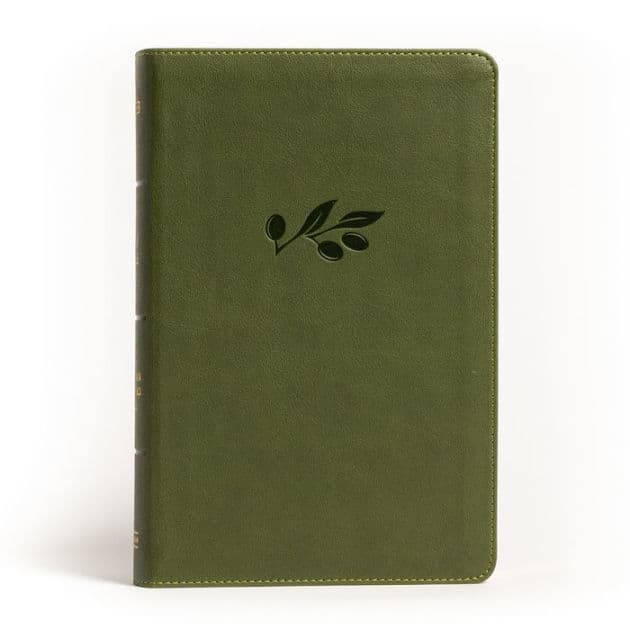 NASB Large Print Personal Size Reference Bible, Olive LeatherTouch by Holman Bible Publishers