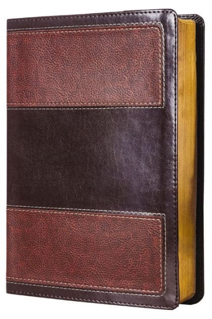 RVR60, Biblia de Estudio de la vida plena, Leathersoft Italian Duo-tone, Café by Zondervan