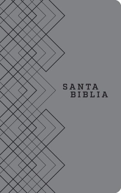 Santa Biblia NTV, Edición ágape (SentiPiel, Gris) by Tyndale