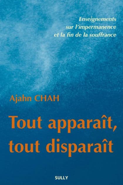Tout apparaît, tout disparaît: Enseignements sur l'impermanence et la fin de la souffrance by Ajahn Chah