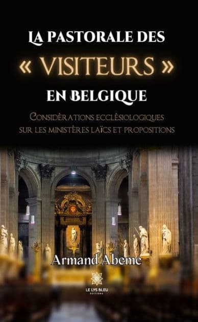 La pastorale des « visiteurs » en Belgique: Considérations ecclésiologiques sur les ministères laïcs et propositions by Armand Abeme