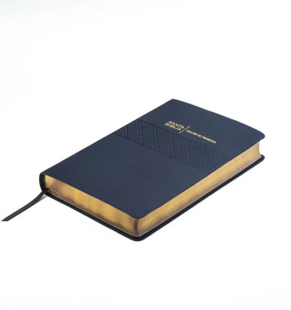 Santa Biblia de Promesas Reina-Valera 1960 / Letra Gigante - 13 puntos / Piel Especial / Negra // Spanish Promise Bible RVR60 / Giant Print / Leathersoft / Black by Editorial Unilit
