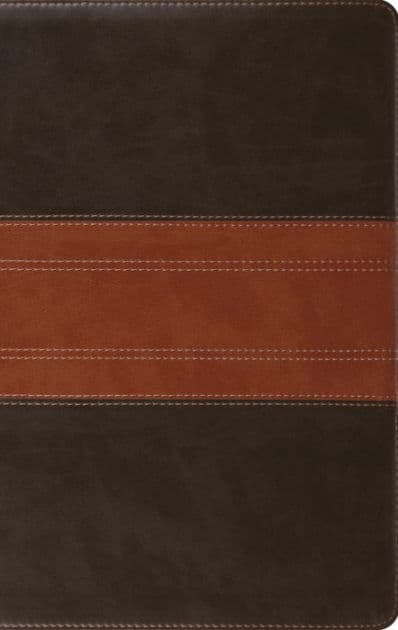 ESV Large Print Personal Size Bible, Red Letter (TruTone, Forest/Tan, Trail Design) by Crossway