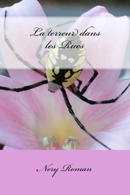 La terreur dans les rues by Nery Roman