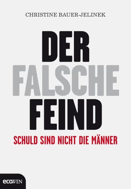 Der falsche Feind: Schuld sind nicht die Männer by Christine Bauer-Jelinek