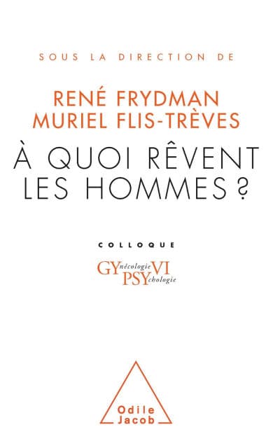 À quoi rêvent les hommes ?: Gypsy VI by René Frydman