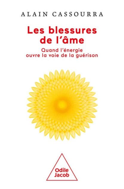 Les Blessures de l'âme: Quand l'énergie ouvre la voie de la guérison by Alain Cassourra