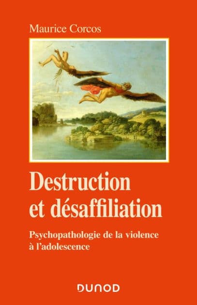 Destruction et désaffiliation: Psychopathologie de la violence à l'adolescence by Maurice Corcos