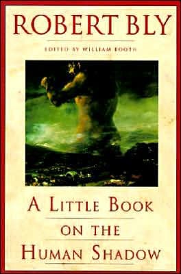 A Little Book on the Human Shadow by Robert Bly
