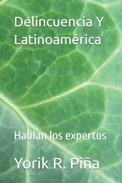 Delincuencia Y Latinoamerica: Hablan los expertos by Yorik R Piïa