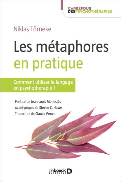 Les métaphores en pratique : Comment utiliser le langage en psychothérapie ? by Steven C. Hayes